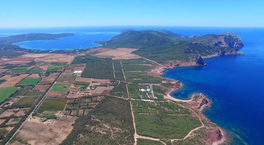 Torre del Porticciolo Camping Village